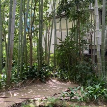 フォーチュン ガーデン 京都（FORTUNE GARDEN KYOTO）の画像｜会場内の竹林