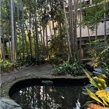 フォーチュン ガーデン 京都（FORTUNE GARDEN KYOTO）の画像｜建物の真ん中に竹林