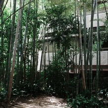 フォーチュン ガーデン 京都（FORTUNE GARDEN KYOTO）の画像｜会場内の竹林
京都を感じさせる場所で、ファーストミートもこちらで行いました。