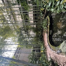 フォーチュン ガーデン 京都（FORTUNE GARDEN KYOTO）の画像