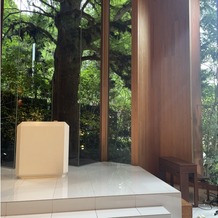 鶴見ノ森　迎賓館の画像｜とても大きな木でした。