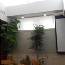 エレガンテヴィータの画像