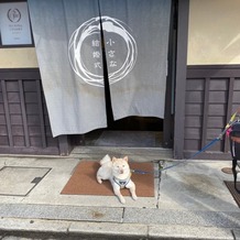 小さな結婚式　京都店の画像｜入り口とうちの柴犬