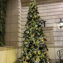 KOBE St.MORGAN CHURCH（神戸セントモルガン教会）の画像｜12月にはクリスマスツリーが飾られ、クリスマスを感じることができる結婚式が挙げられます