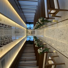 ザ マグナス ＴＯＫＹＯの画像