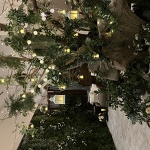 ラグナヴェール　プレミア &amp;nbsp;ＬＡＧＵＮＡＶＥＩＬ　ＰＲＥＭＩＥＲの画像