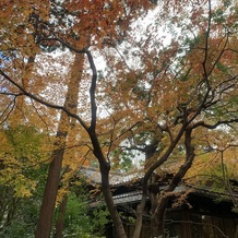 ザ ナンザンハウス（ＴＨＥ ＮＡＮＺＡＮ ＨＯＵＳＥ）の画像