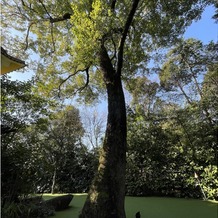 ザ ナンザンハウス（ＴＨＥ ＮＡＮＺＡＮ ＨＯＵＳＥ）の画像