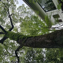 ザ ナンザンハウス（ＴＨＥ ＮＡＮＺＡＮ ＨＯＵＳＥ）の画像