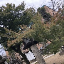 名古屋　河文の画像｜那古野神社