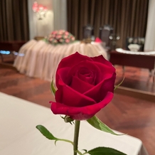 カノビアーノ　福岡の画像｜ダーズンローズセレモニーに選ばれたときの薔薇です。