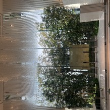 シャルマンシーナ ＴＯＫＹＯの画像