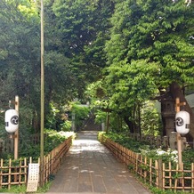 赤坂氷川神社の画像｜境内