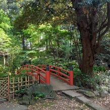 赤坂氷川神社の画像｜境内