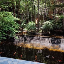 ＡＬＴＡＶＩＳＴＡ　ＧＡＲＤＥＮ（アルタビスタ　ガーデン）の画像