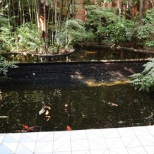ＡＬＴＡＶＩＳＴＡ　ＧＡＲＤＥＮ（アルタビスタ　ガーデン）の画像｜ゲスト待機スペースには池があり錦鯉がいました。