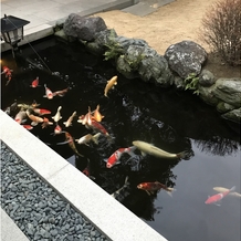 百花籠（ひゃっかろう）―Neo Japanesque Wedding―の画像｜庭園の鯉