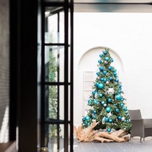 THE MARCUS SQUARE KOBE　（ザ マーカススクエア 神戸）の画像｜クリスマスツリー