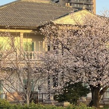 旧桜宮公会堂（国登録重要文化財）の画像