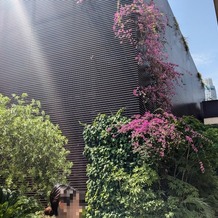 ＴＨＥ　ＧＲＡＮＤ　ＯＲＩＥＮＴＡＬ　ＭＩＮＡＴＯＭＩＲＡＩ （グランドオリエンタル みなとみらい）の画像｜式全体が緑あふれています