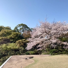 国際文化会館（International House of Japan）の画像｜空中庭園の満開の桜がとてもきれいです