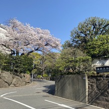 国際文化会館（International House of Japan）の画像｜国際文化会館エントランス。ゲストを迎える入り口にも大きな桜が。
