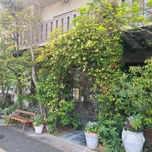 Flairge 桜坂（フレアージュ　桜坂）の画像｜入り口のモッコウバラのアーチ