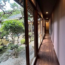 Ｔｈｅ 華紋（ザ カモン）の画像