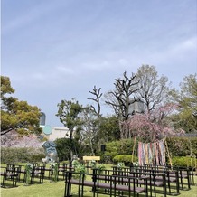 ザ・ガーデンオリエンタル・大阪の画像｜飾りつけは持ち込みしました