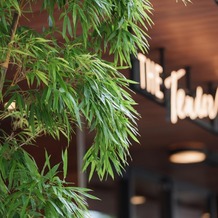 THE TENDER HOUSE（ザ テンダーハウス）の画像