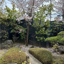 ＭＡＴＳＵＹＡＭＡ ＭＯＮＯＬＩＴＨ（松山モノリス）の画像｜季節を感じられる庭