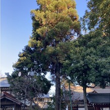 大國魂神社　結婚式場の画像