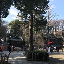 大國魂神社　結婚式場の画像