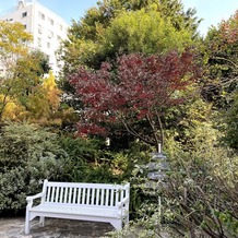 目白の森　メーヤー・ライニンガーの画像