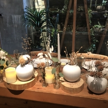 THINGS Aoyama Organic Garden.dthの画像