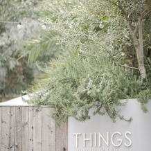 THINGS Aoyama Organic Garden.dthの画像