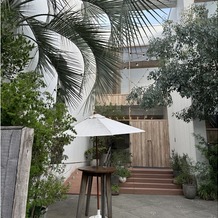 THINGS Aoyama Organic Garden.dthの画像｜会場入り口のみどりが都会の中での非日常感を感じられます！