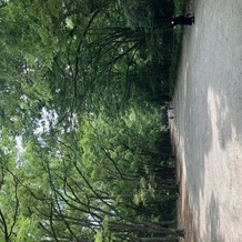 下鴨神社（賀茂御祖神社）の画像