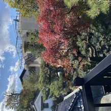 京都祝言 ＳＨＵ：ＧＥＮの画像