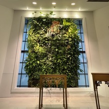 パラッツォ ドゥカーレ 麻布の画像