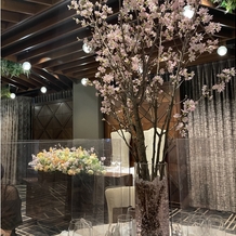 ＩＬＢＥＩＧＥ（イルベイジュ）の画像｜テーブルの真ん中に桜の木があり、華やかな雰囲気でした