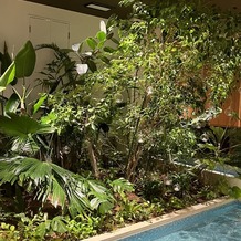 ＩＬＢＥＩＧＥ（イルベイジュ）の画像｜ビルの中なのに造花ではない実際の植物でつくられた庭
ビルの中にプールがある