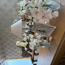 ラピスコライユの画像