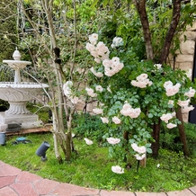 ソンブルイユ TOKYO（SOMBREUIL TOKYO）の画像｜チャペルに向かうサイドに咲いていたお花