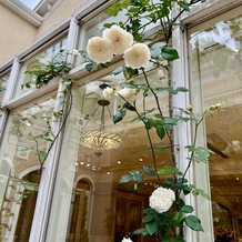 ソンブルイユ TOKYO（SOMBREUIL TOKYO）の画像｜披露宴会場の窓のところに咲いていた薔薇