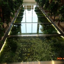 ラグナヴェール ＳｋｙＴｅｒｒａｃｅ（ＬＡＧＵＮＡＶＥＩＬ ＳｋｙＴｅｒｒａｃｅ）の画像