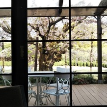 ＴＨＥ　ＧＲＡＳＳ　ＨＯＵＳＥ　桜の杜の画像