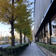 東京會舘の画像｜式場近辺の銀杏並木