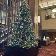 東京會舘の画像｜ロビーのクリスマスツリー