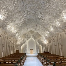 トリフォーリア ＮＡＧＯＹＡの画像